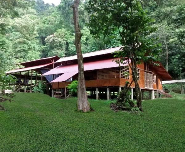 Safio. Una Casa En El Paraiso. Nuquí Eksteriør bilde