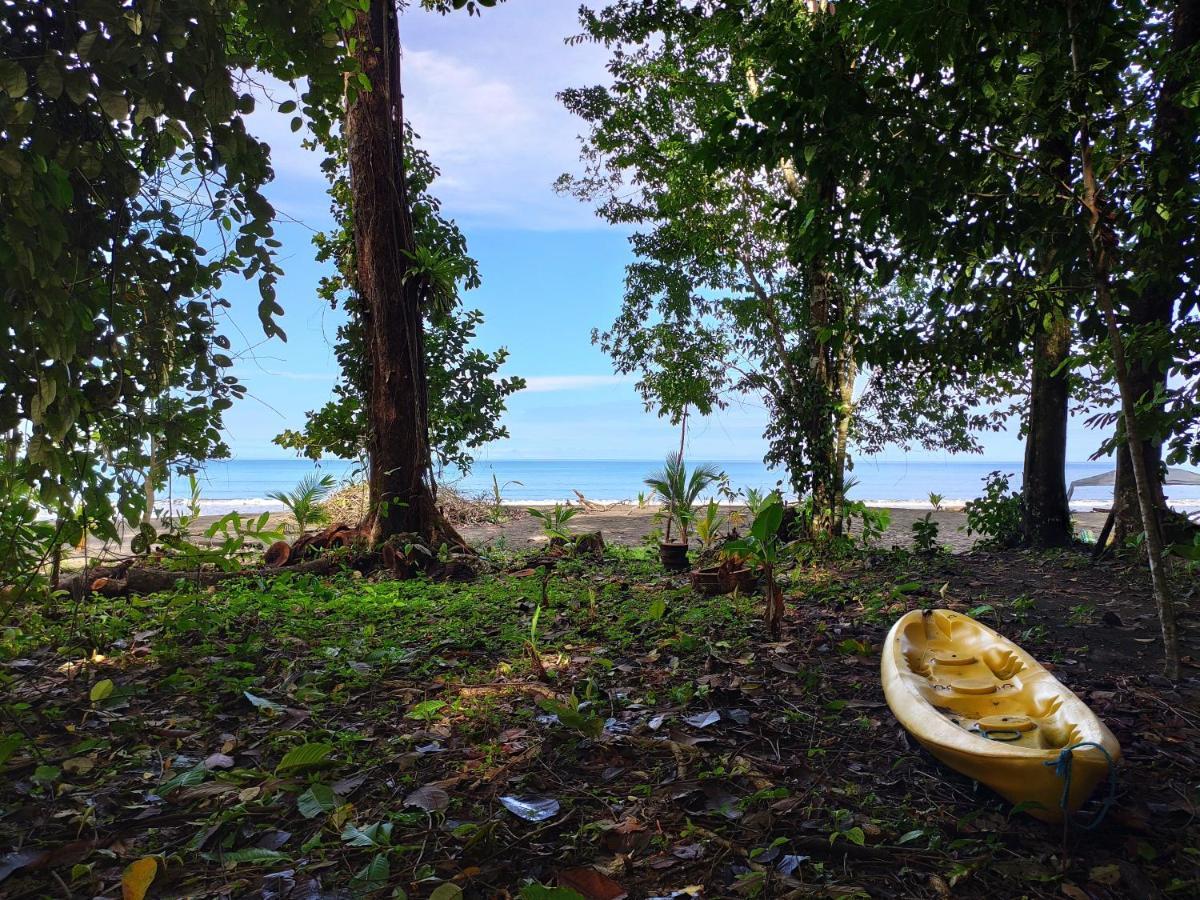 Safio. Una Casa En El Paraiso. Nuquí Eksteriør bilde